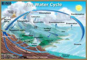 Watercyclesummary